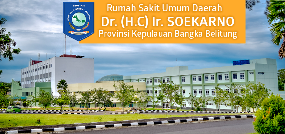 Rumah Sakit Umum Daerah Dr. (HC) Ir. Soekarno | Provinsi Kepulauan ...